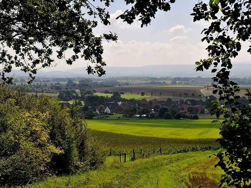Hessisch Oldendorf Hotel Weinschanke Rohdental المظهر الخارجي الصورة