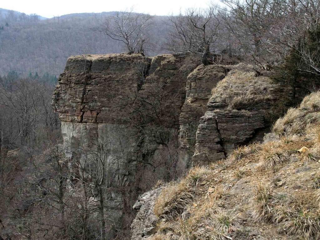Hessisch Oldendorf Hotel Weinschanke Rohdental المظهر الخارجي الصورة
